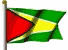 flagge von guyana