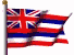Flagge von hawaii