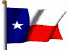 Flagge von texas