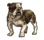 animierte Gifs Hunde