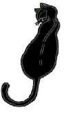 animierte Gifs Katzen